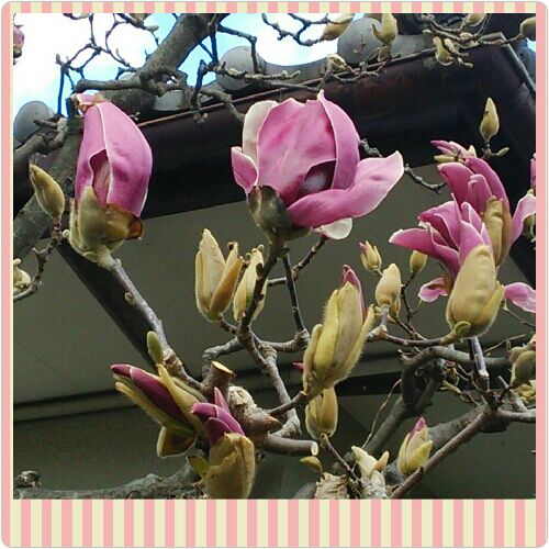 rblog-20160319132314-00.jpg
