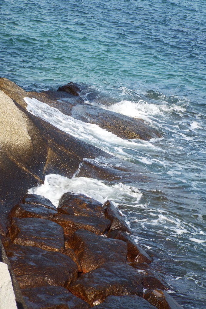 大久野島の岸辺