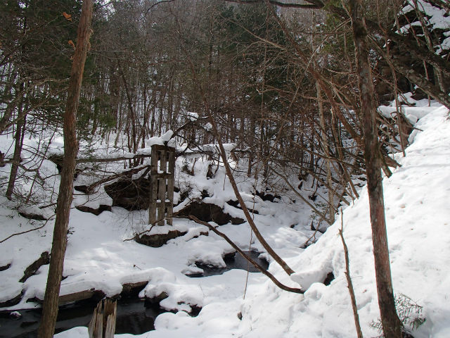 sP2020112.jpg
