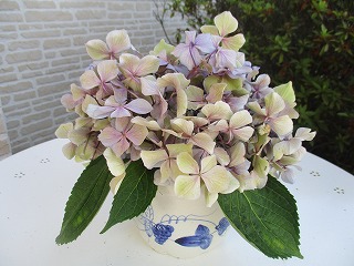 IMG_4532ss.jpg