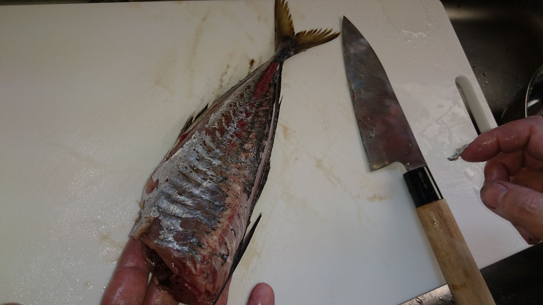 3ページ目の記事一覧 ライフルシューターのブログ 楽天ブログ