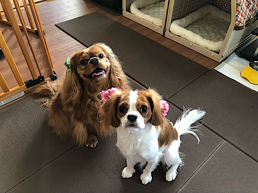 rblog-20181025205907-04.jpg