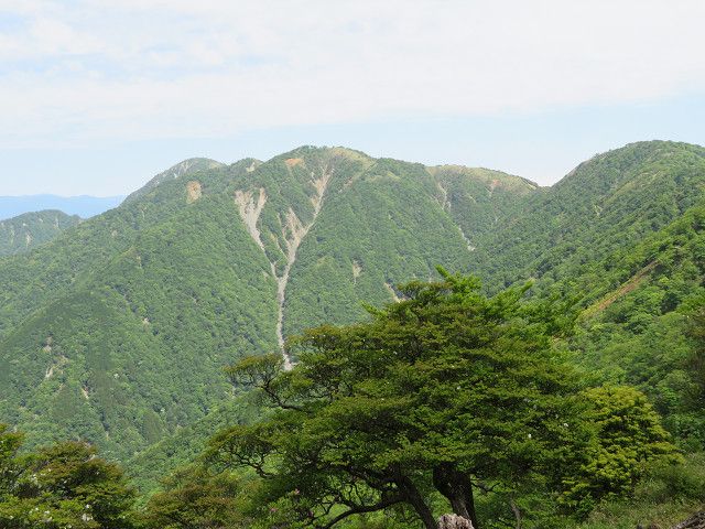 丹沢登山（2）塔ノ岳山頂→丹沢山山頂 | 星とカワセミ好きのブログ - 楽天ブログ