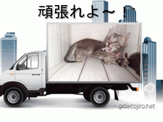 ロビン.gif