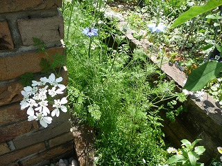 P1020776ss.jpg