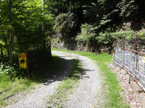 DSC01677.JPG