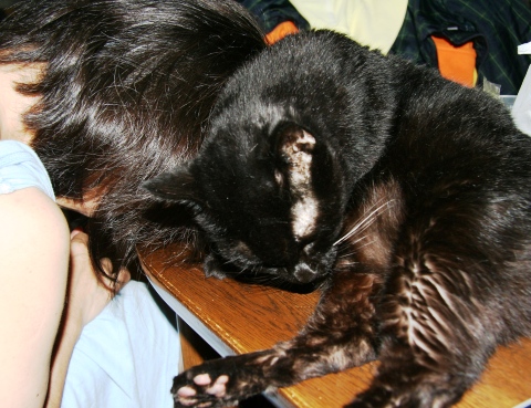 20131006ﾅﾅ.jpg