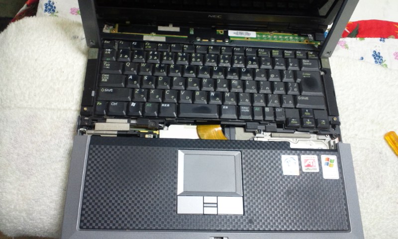 PAP_0019.JPG