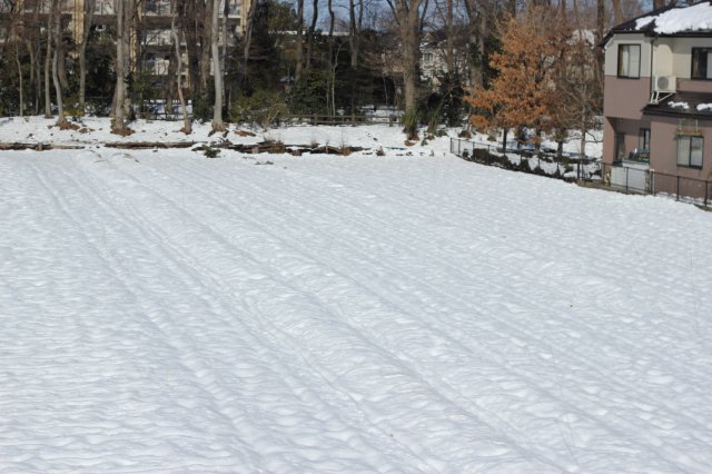 畑の雪.jpg