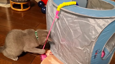 20150120_215940.jpg