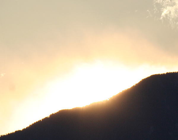 n3.jpg