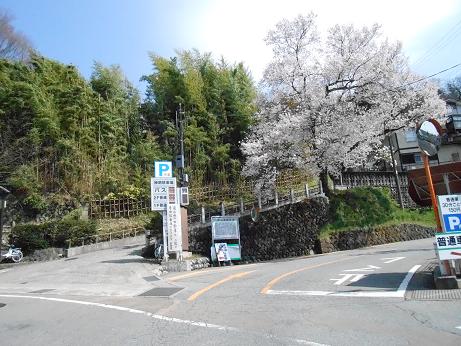 DSCN3502.jpg
