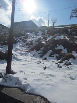 雪１５.jpg