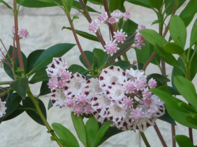 167