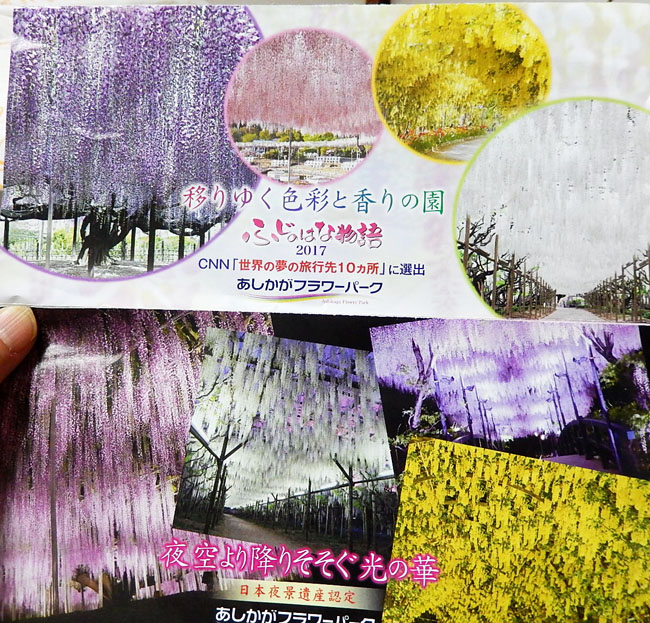 フラワーパーク