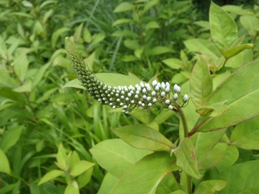 高尾６