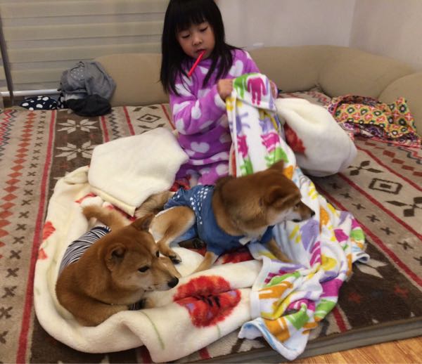 rblog-20151213044719-10.jpg