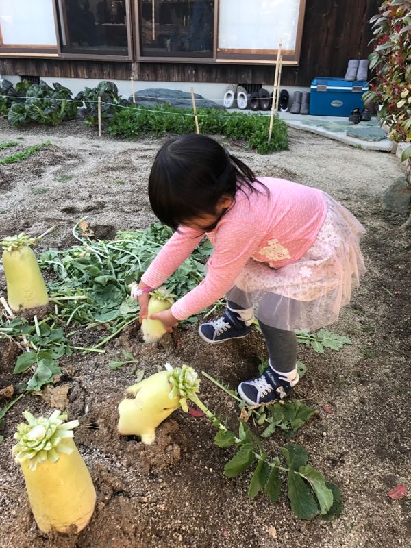 rblog-20180311185831-04.jpg