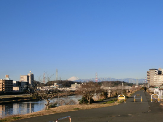 鶴見川　ウオーキング　珍しく快晴！　富士山も見えます　１万歩！