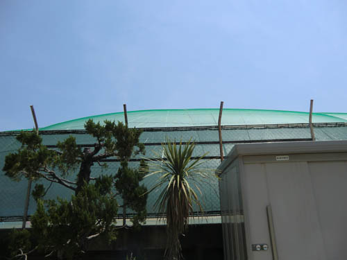 2014-04-27-03.jpg