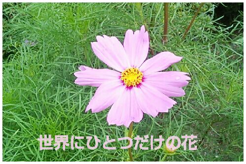 rblog-20160713224212-00.jpg