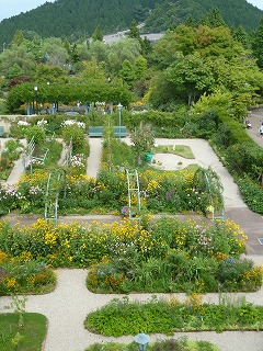 P1080882ss.jpg