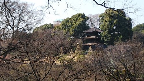 rblog-20180225223041-01.jpg