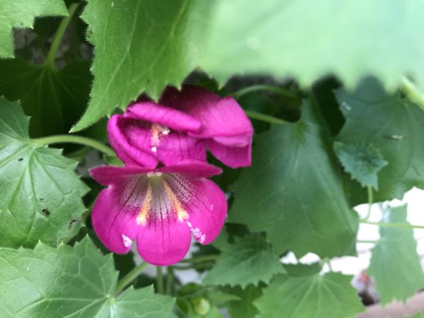rblog-20180628172024-01.jpg