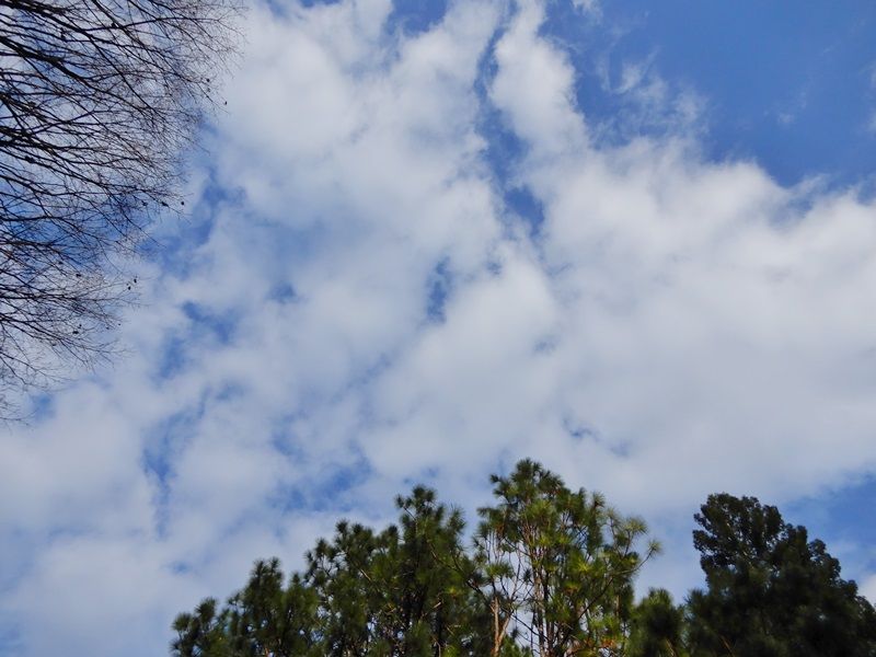 空2