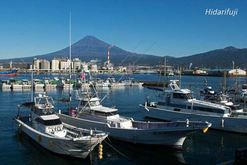 師走の田子の浦漁港 ブログ左富士写真館 楽天ブログ