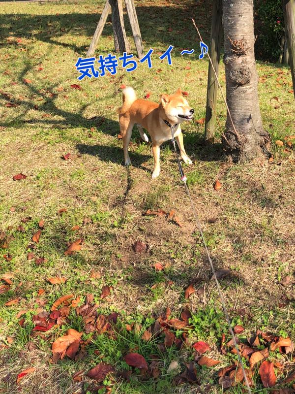 rblog-20171107123037-04.jpg