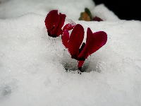 rblog-20140214173419-00.png