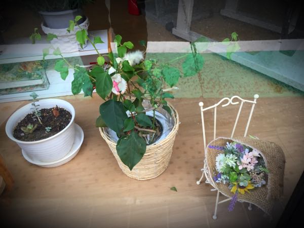 rblog-20160225215816-00.jpg