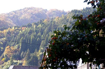 IMGP2456 400.jpg