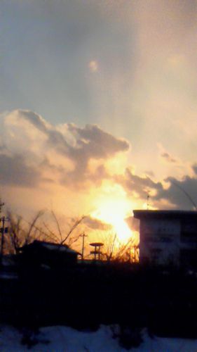 NEC_0342-500.jpg