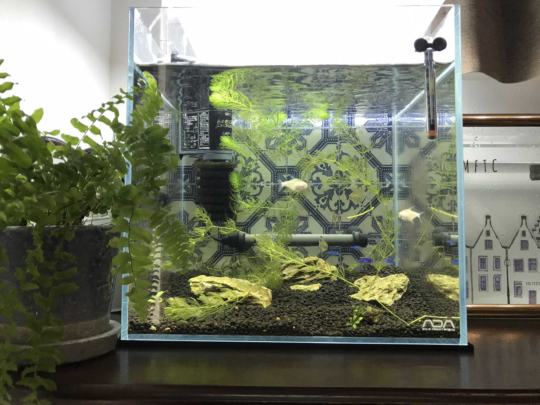 3ページ目の記事一覧 Maria S Home 楽天ブログ