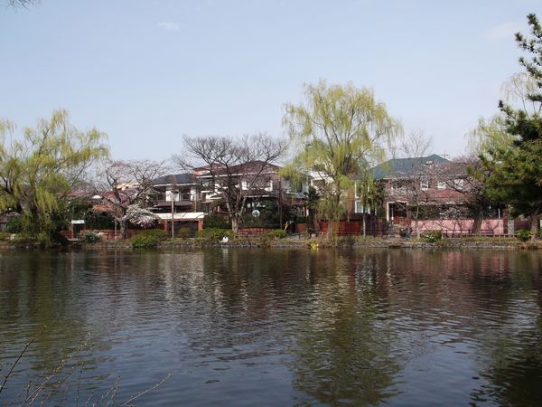 池の北側高級住宅.JPG