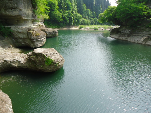 DSC01274.JPG