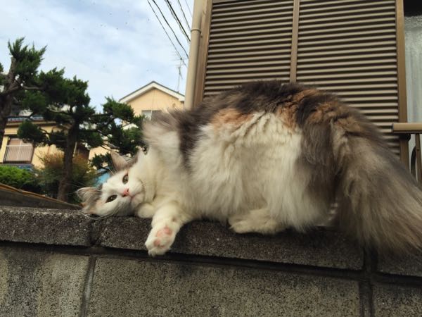 rblog-20160425153725-01.jpg