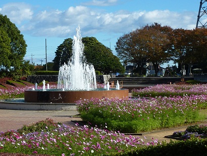 016-1.jpg
