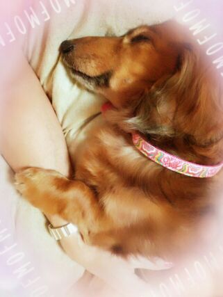 rblog-20140329191220-02.jpg