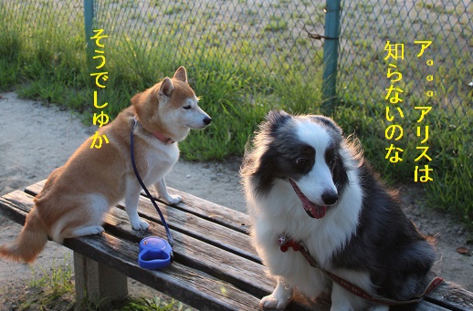 知らない