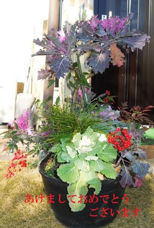 DSCN0692.JPG