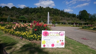 DSC_7902.jpg