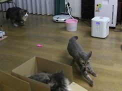 5DA_4366-17.jpg