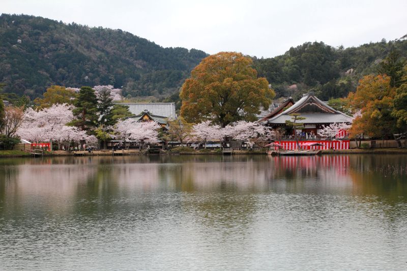 大沢池_004.jpg