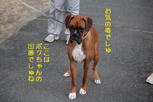 僕でしゅ