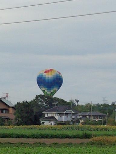 IMG_20130824_151546689.jpg