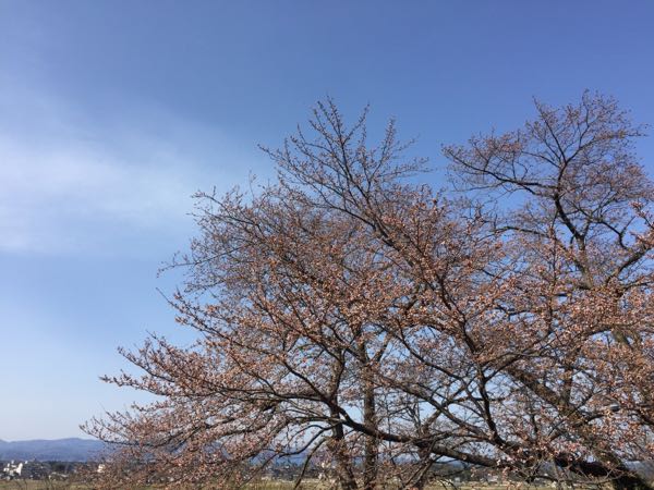 rblog-20180401002645-01.jpg