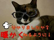 たあこわかりました.JPG